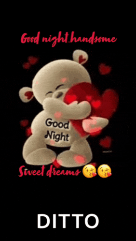 a teddy bear is hugging a red heart and says `` good night handsome '' .
