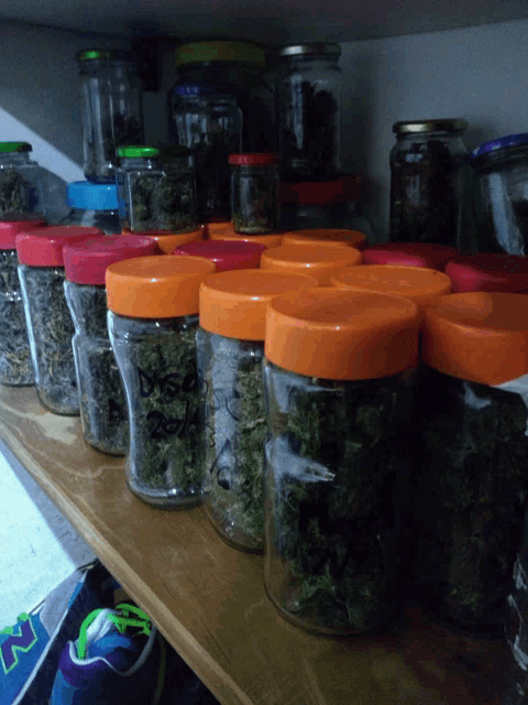 a shelf full of jars of marijuana including one that says ds on it