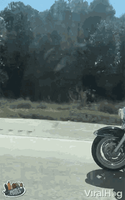 Veggiemates Motorbike GIF - Veggiemates Motorbike Motorway GIFs