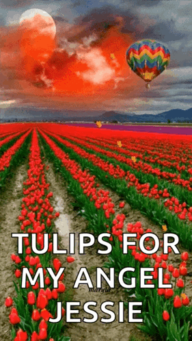 Tulips Hot Air Balloon GIF - Tulips Hot Air Balloon GIFs