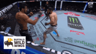 two men are fighting in a boxing ring with a buffalo wild wings logo in the foreground