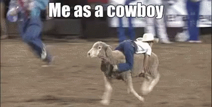Me As A Cowboy GIF - Hold On Cowboy Sheep GIFs