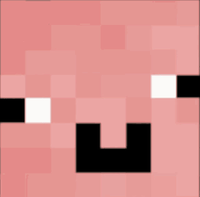 a close up of a minecraft pig face with black and white squares