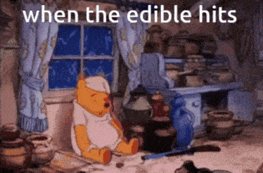 a cartoon of winnie the pooh sitting in front of a window with the words " when the edible hits "