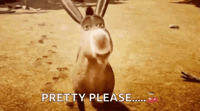 a donkey is standing in the dirt with the words pretty please behind it