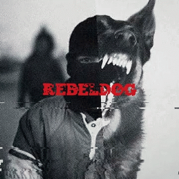 Rebels Rxbxls GIF - Rebels Rxbxls Rebeldog GIFs