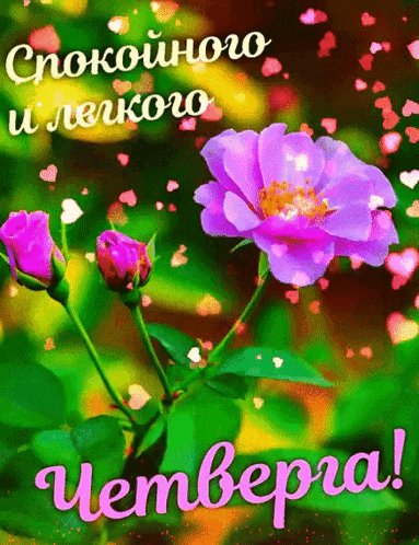 a purple flower is surrounded by green leaves and hearts on a colorful background