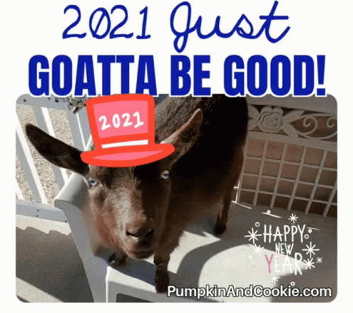Goats Cutest GIF - Goats Cutest 2021 GIFs
