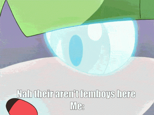 nah their aren 't femboys here me written on a cartoon