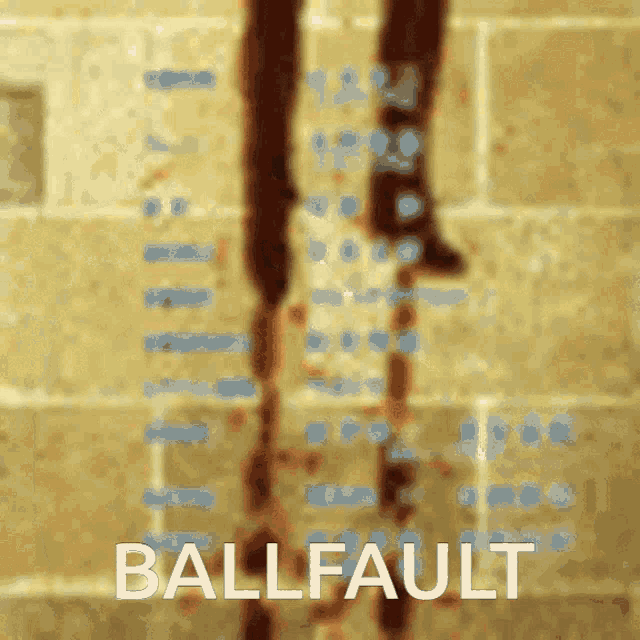 Balltaob Ballododo GIF - Balltaob Ballododo Ballfault GIFs