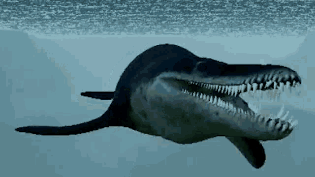 a shark is swimming in the water with its mouth open