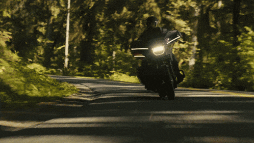 two motorcycle riders are riding down a road in the woods