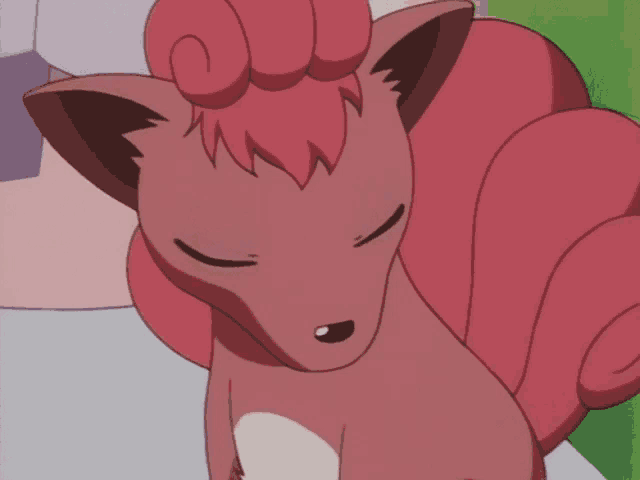 a close up of a pink fox with a white nose