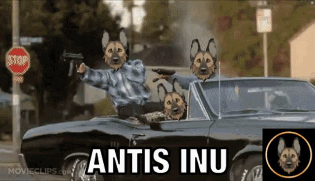a cartoon of a man riding in a car with a stop sign in the background and the words " antis inu "