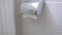 Toiletpapwe Dispenser GIF - Toiletpapwe Dispenser GIFs