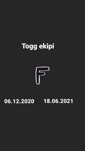Togg Toggekipi GIF - Togg Toggekipi Toggağalar GIFs