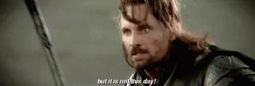 Lord Of The Rings Lotr GIF - Lord Of The Rings Lotr Viggo Mortensen GIFs