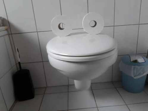 Toilet Toilet Paper GIF