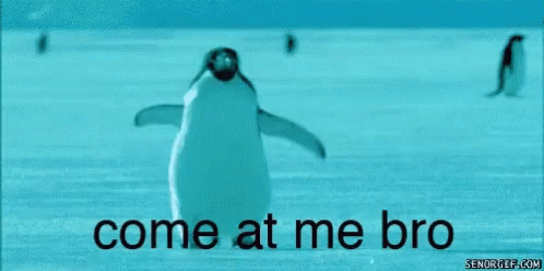 Fight Me Come At Me Bro GIF - Fight Me Come At Me Bro Penguins GIFs