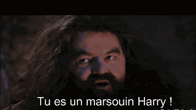 a man with a beard says tu es un marsouin harry !