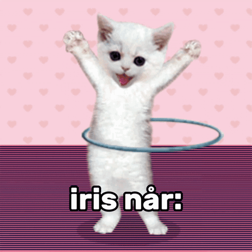 Iris Når GIF - Iris Når Iris GIFs