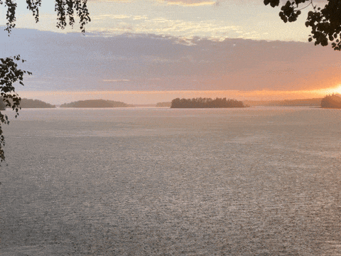 a large body of water with trees in the foreground