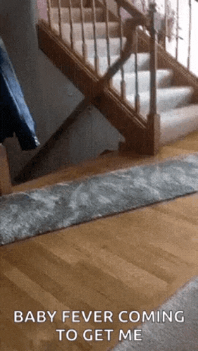a staircase with the words baby fever coming to get me
