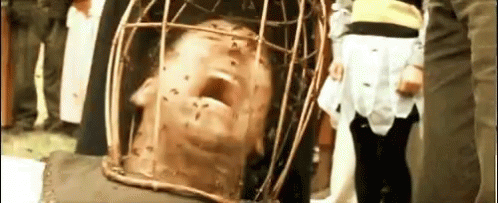 Bees Nicholas Cage GIF - Bees Nicholas Cage The Wicker Man GIFs