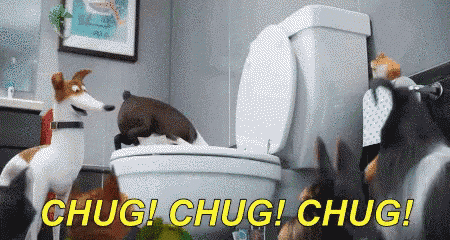chug chug chug is being shouted by a group of dogs