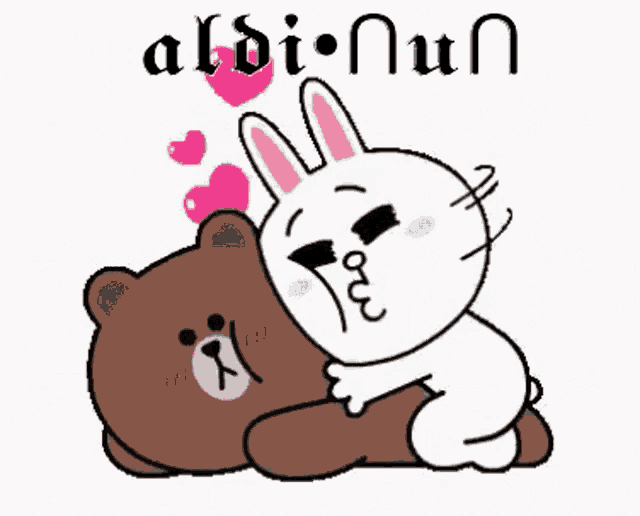 a brown bear and a white rabbit are laying on top of each other on a white background .