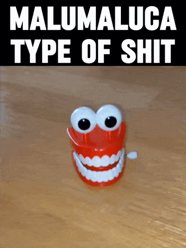 a toy with googly eyes and the words malumaluca type of shit on the bottom