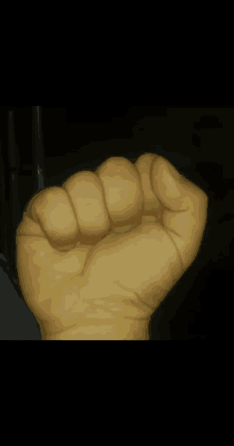 a close up of a hand making a middle finger sign