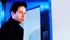 Fox Mulder Xfiles GIF - Fox Mulder Xfiles David Duchovny GIFs
