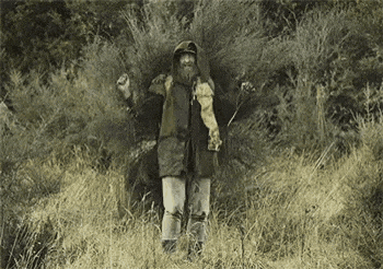 a man with a beard is standing in a field of tall grass holding a sword .