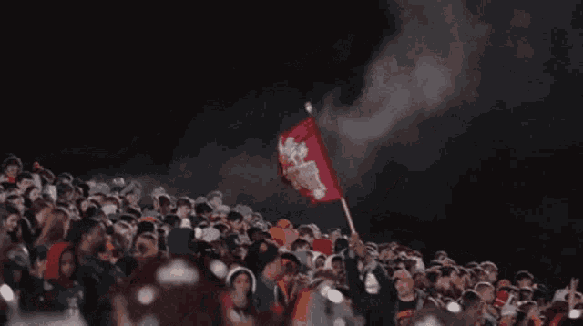 a crowd of people are watching a football game and a man is holding a flag that says ' florida ' on it
