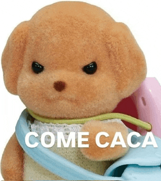 a stuffed animal with the word come caca written on it