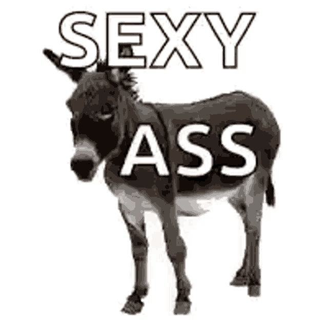 a donkey is standing on a white background with the words `` sexy ass '' written on it .
