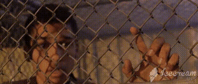 Caged Men Slaves GIF - Caged Men Slaves Prisoners GIFs