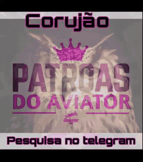 corujao patrcas do aviator pesquisa no telegram with an owl