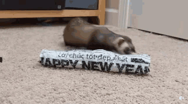 Ferret Steal GIF - Ferret Steal Joink GIFs