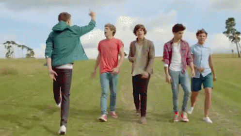 Live One Direction GIF - One Direction 1d Music GIFs