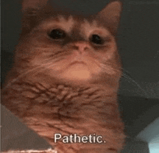 a close up of a cat with the words `` pathetic '' written on it 's face .