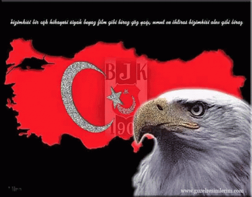 Turkey Eagle GIF - Turkey Eagle Flag GIFs
