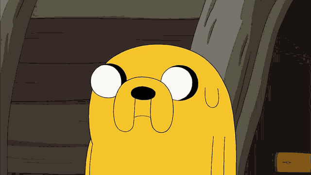 a cartoon character named jake from adventure time is looking at the camera