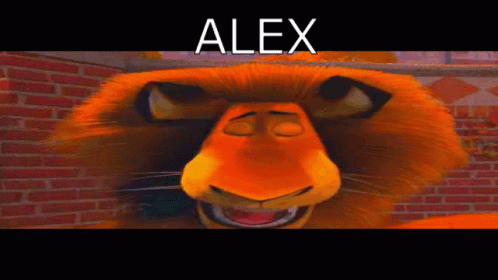 Alex O Viadão Alex GIF - Alex O Viadão Alex Madagascar GIFs