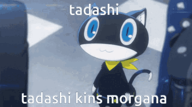a picture of a cat with the words tadashi on it