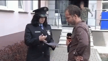 Punch Reporter GIF - Punch Reporter News GIFs