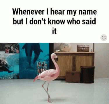 Relatable Funny GIF - Relatable Funny Turning Around GIFs