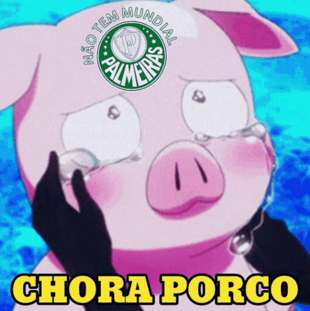 Palmeiras Porco GIF - Palmeiras Porco Verdão GIFs
