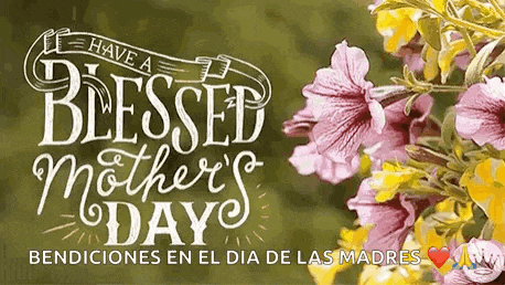 a mother 's day card with flowers and the words `` have a blessed mother 's day ''